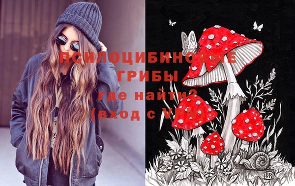 прущие крисы Магас