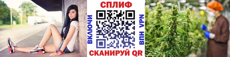Купить Старая Купавна Шишки марихуана тримм